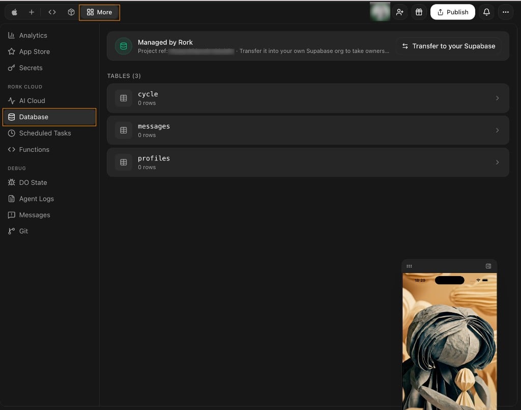 The Database tab under More showing the app's tables with row counts