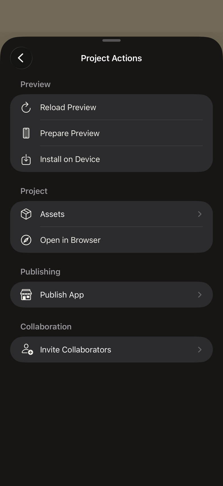 Project Actions sheet with Reload Preview, Prepare Preview, Install on Device, Assets, Open in Browser, Publish App, and Invite Collaborators