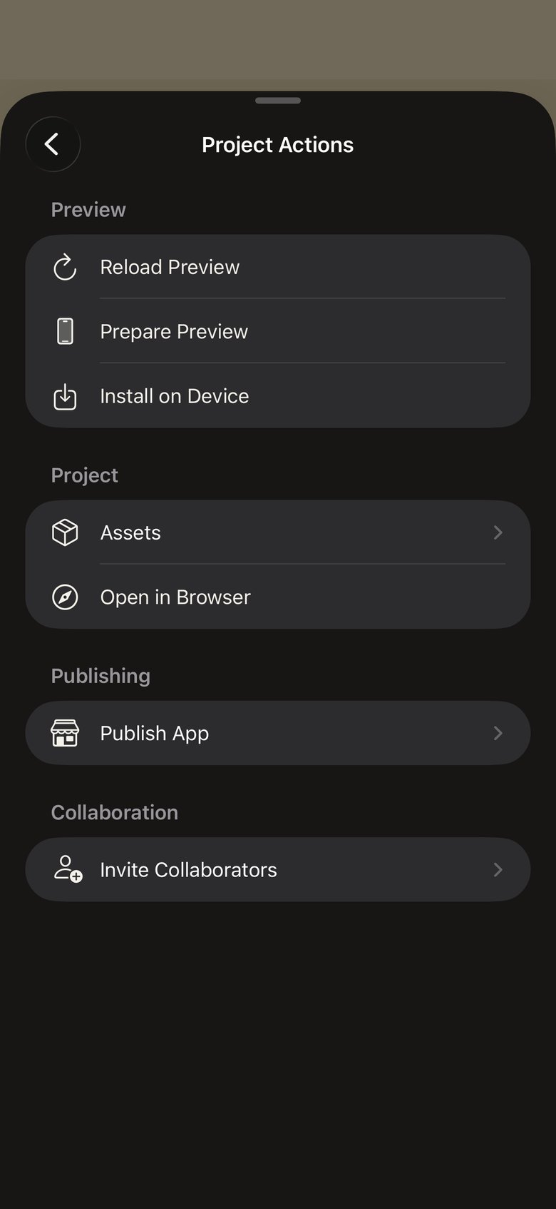 Project Actions sheet with Reload Preview, Prepare Preview, Install on Device, Assets, Open in Browser, Publish App, and Invite Collaborators