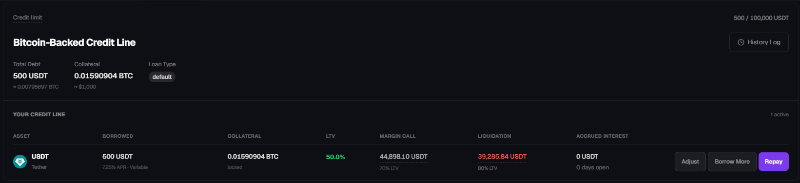Bitcoin Backed Credit Line Tab Bitcoin Backed Credit Line Tab