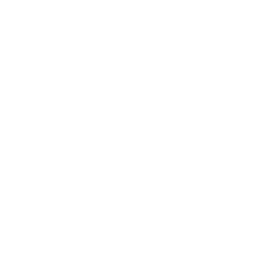 light logo