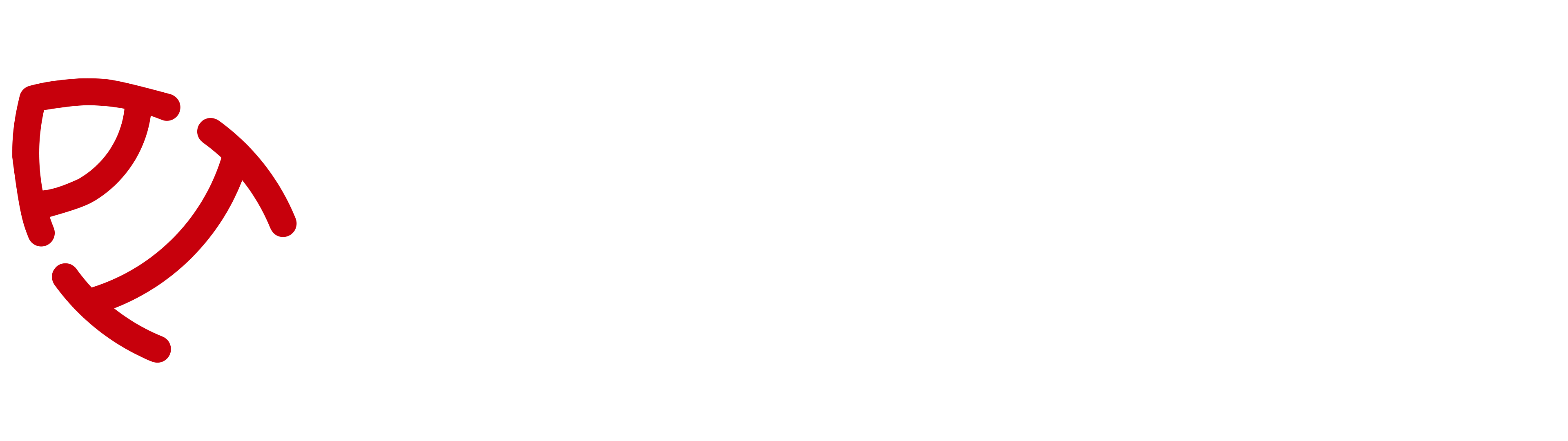light logo