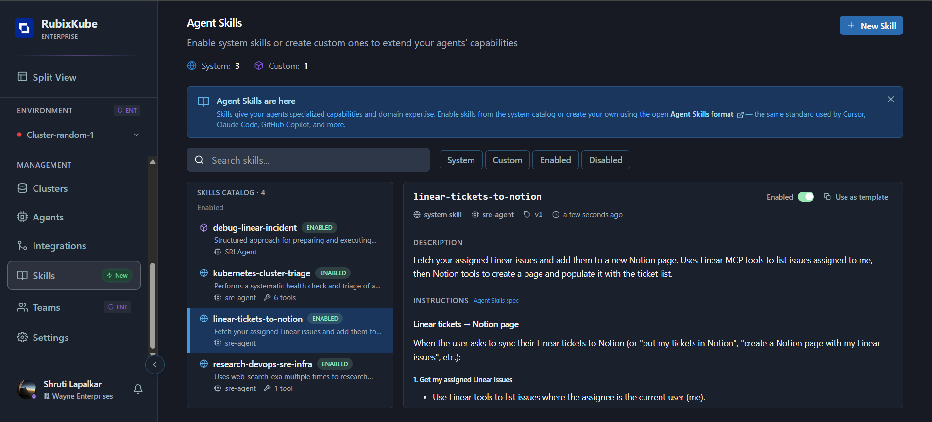 Skill detail view showing description, instructions, and tools