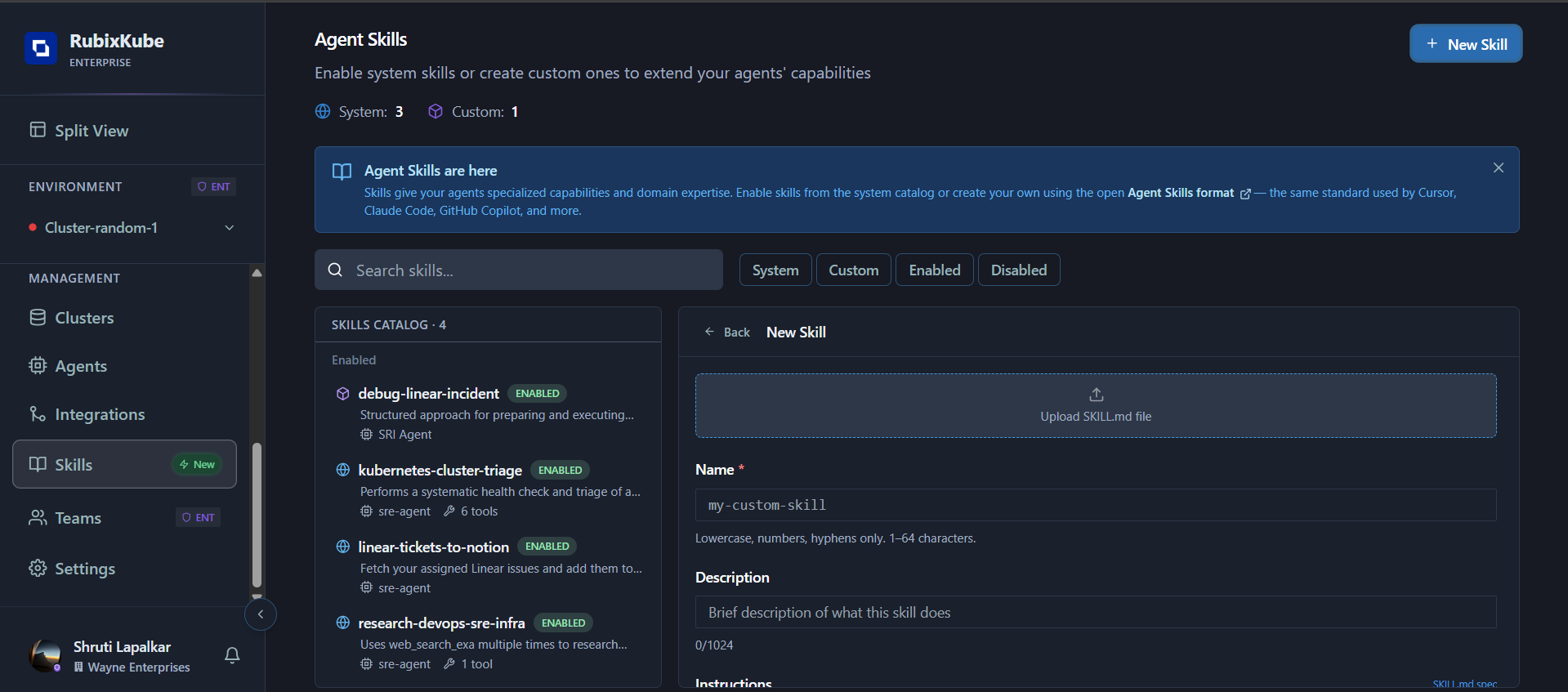 Agent Skills page overview showing skill catalog and filters