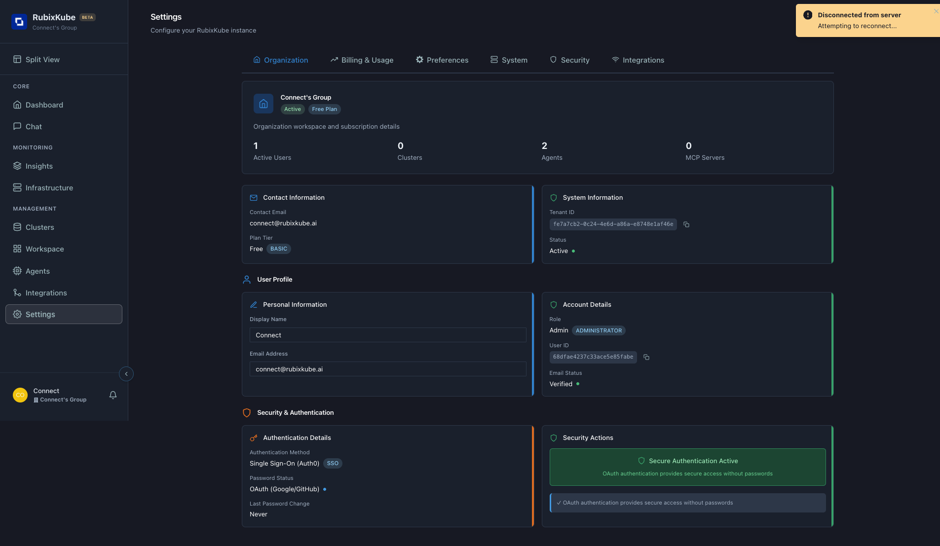 Settings page showing organization tab