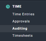 Select Auditing to Administer Time Entries