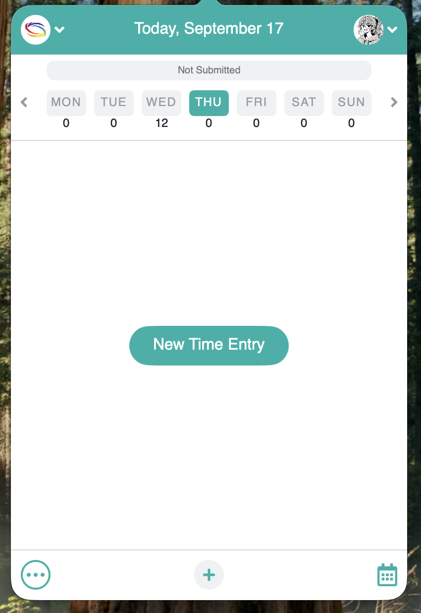 The timesheet status bar showing the status of the week you are viewing