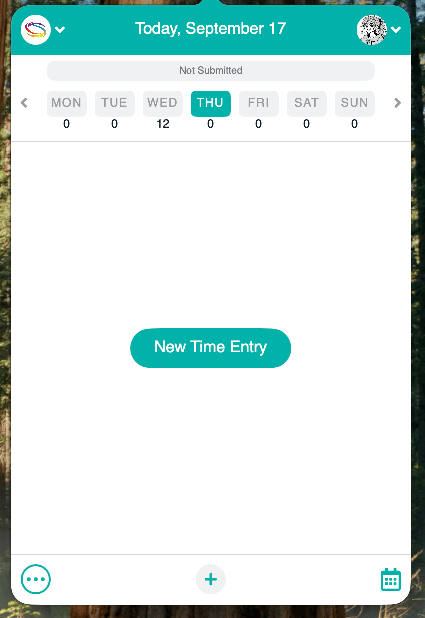 The timesheet status bar showing the status of the week you are viewing
