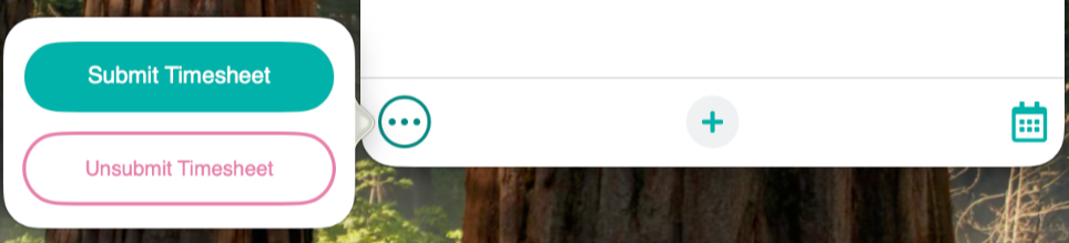 The More button opened, showing both Submit Timesheet and Unsubmit Timesheet