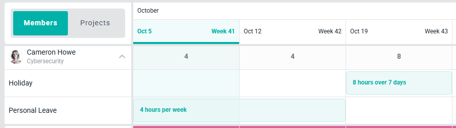 A Manually-Created Time Off Allocation is Displayed