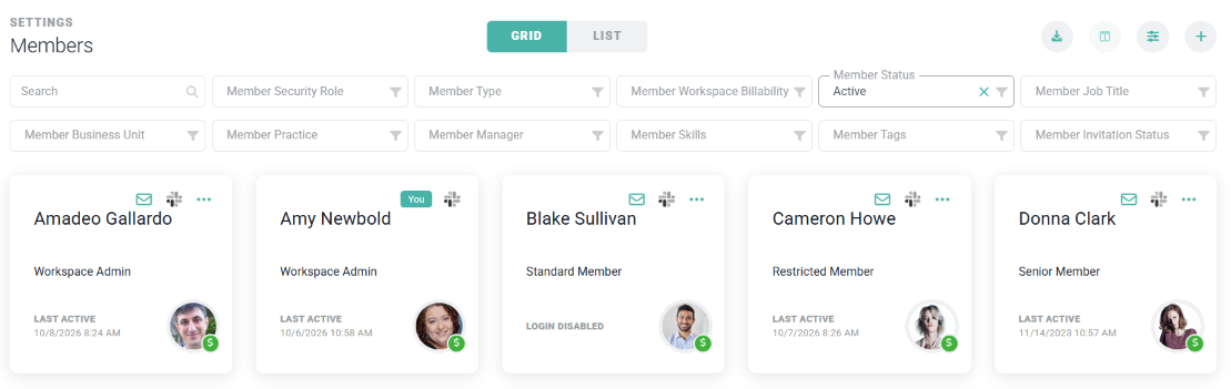 A Workspace Administrator can Click the New Member Button to Invite a Member to Your Workspace