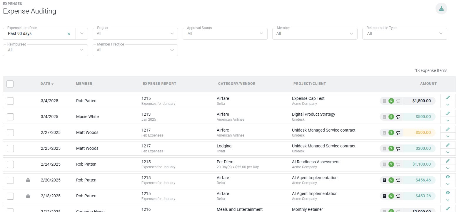 The Expense Auditing Screen