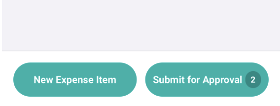 Creating a new expense item