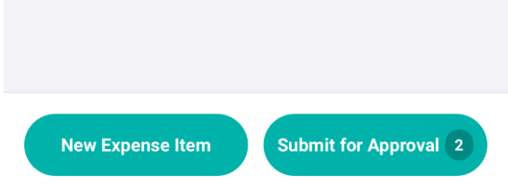 Creating a new expense item