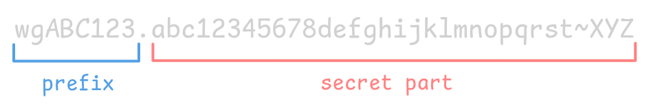 API key example showing the key wgABC123.abc12345678defghijklmnopqrst~XYZ