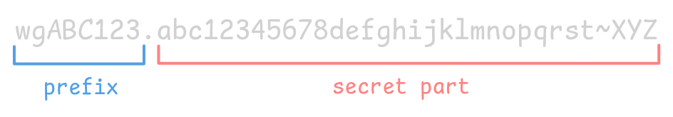 API key example showing the key wgABC123.abc12345678defghijklmnopqrst~XYZ