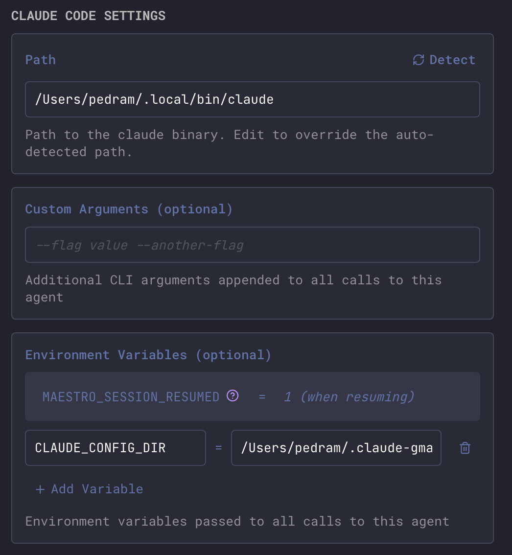 Provider configuration showing custom arguments and environment variables