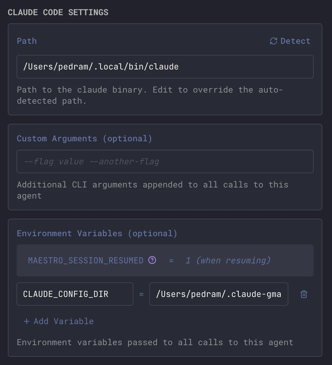 Claude Code agent settings showing CLAUDE_CONFIG_DIR environment variable