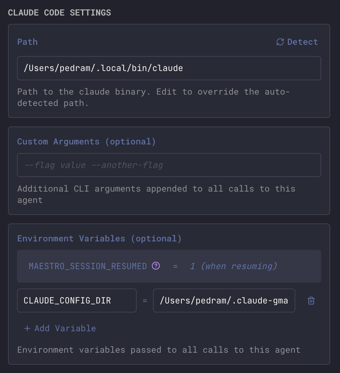 Claude Code agent settings showing CLAUDE_CONFIG_DIR environment variable