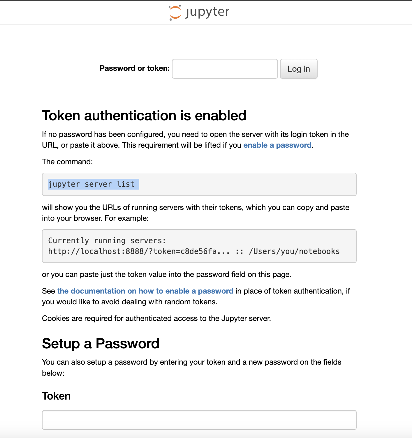 Jupyter server token authentication