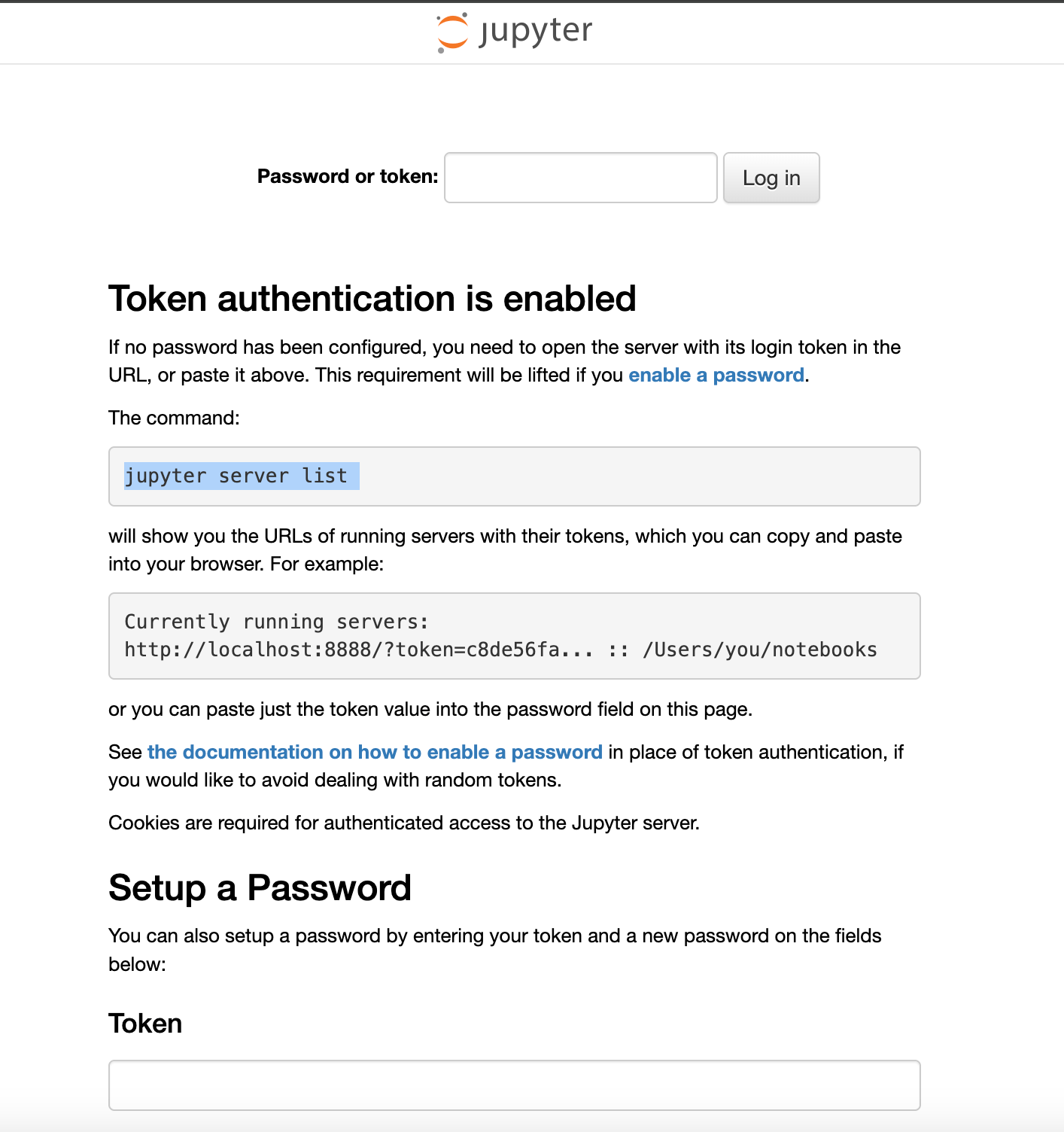 Jupyter server token authentication