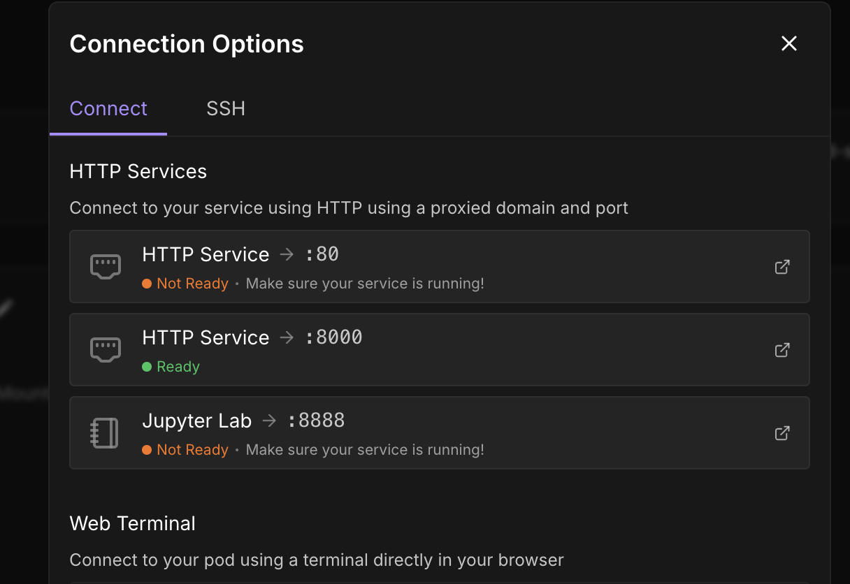 Access Port