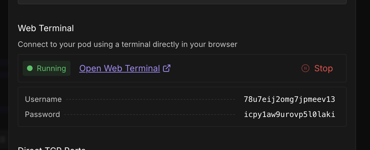 Web Terminal Access