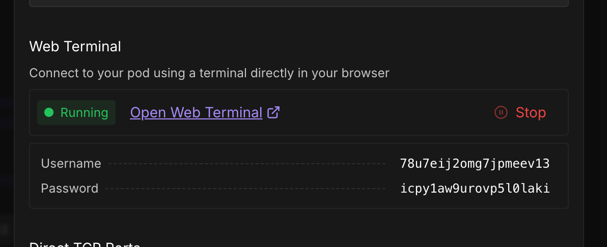 Web Terminal Access