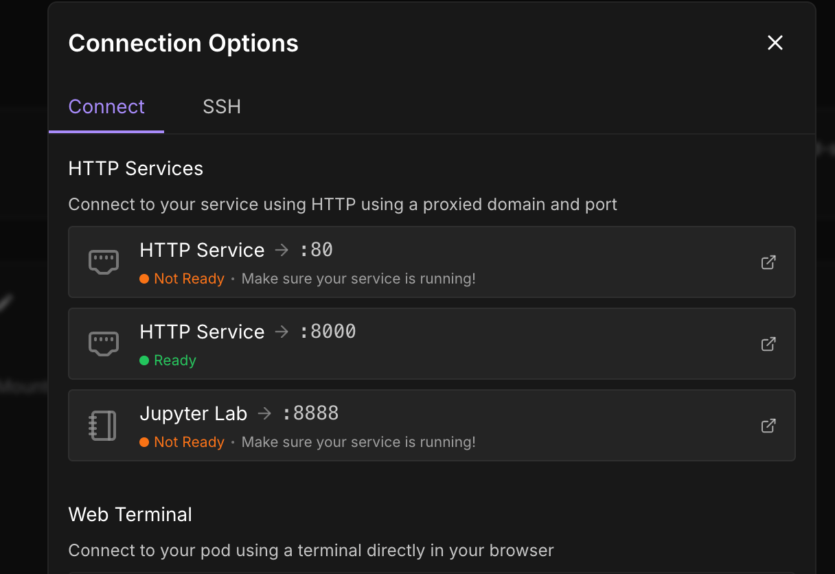 Access Port