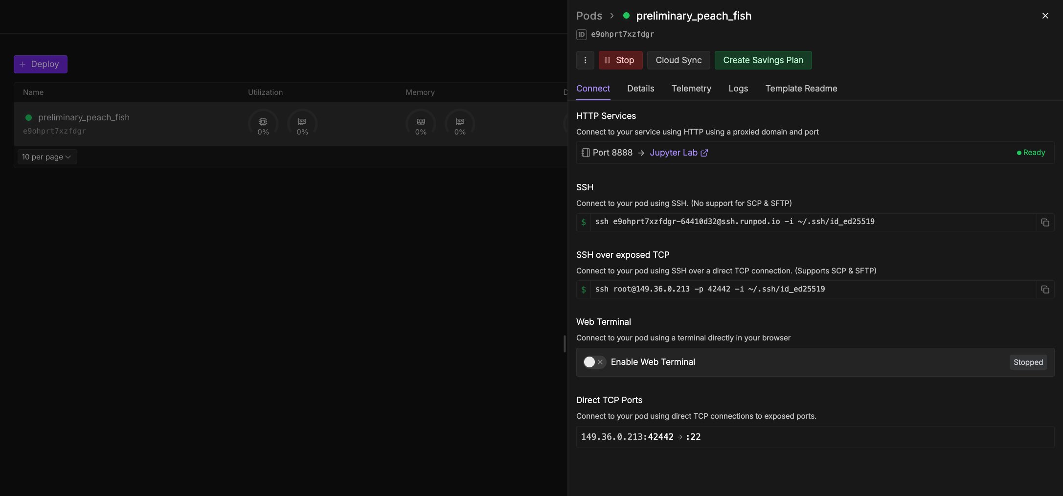 Runpod Notebook Connection options - Runpod Documentation