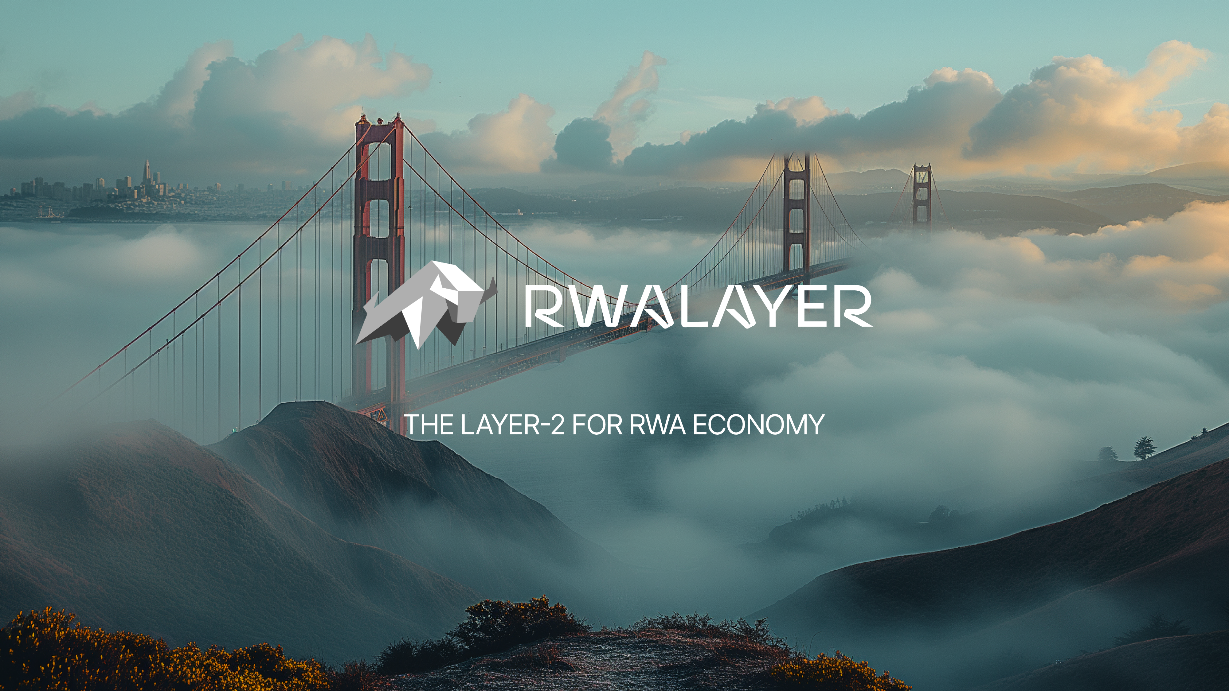 RWALayer