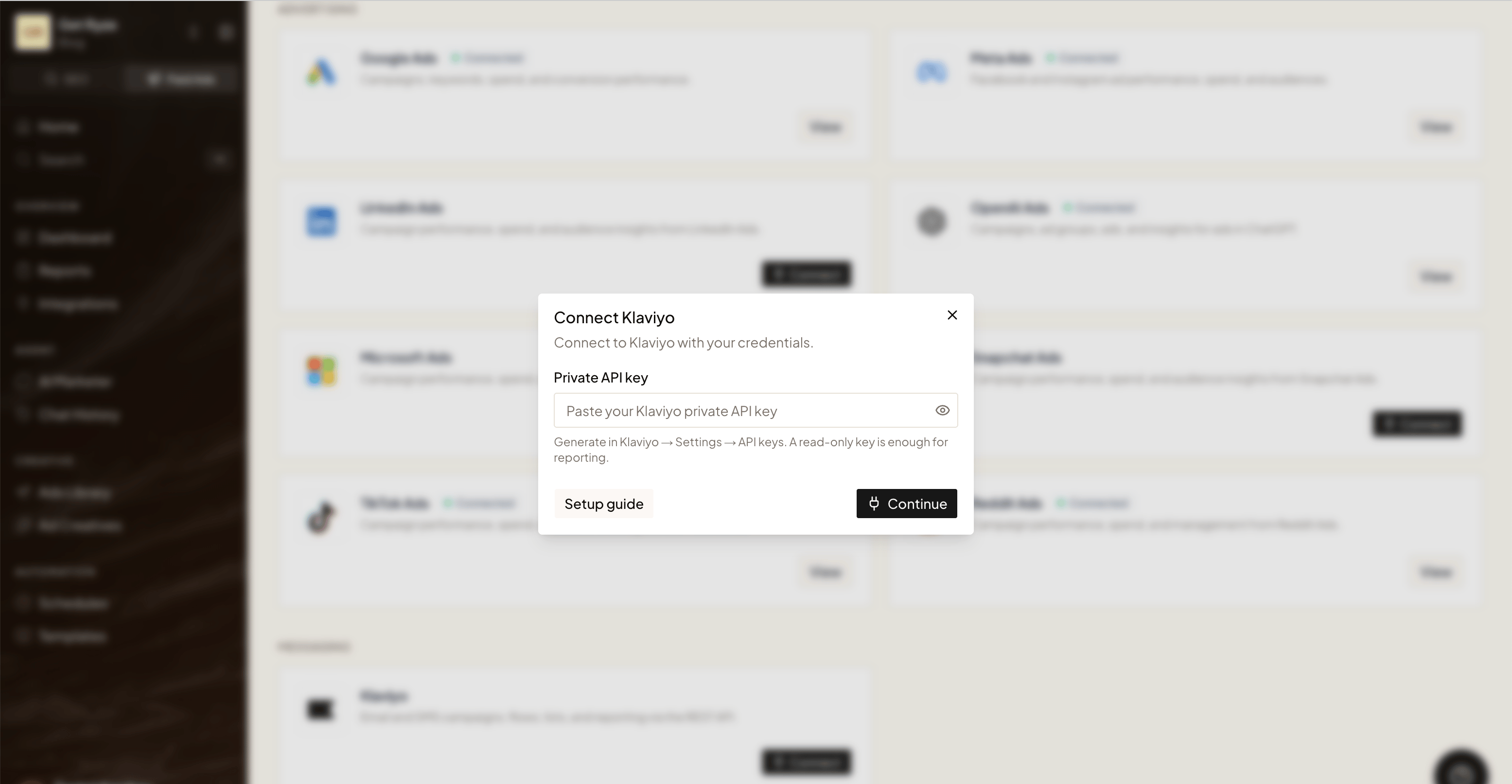 The Connect Klaviyo dialog in Ryze with the Private API key field