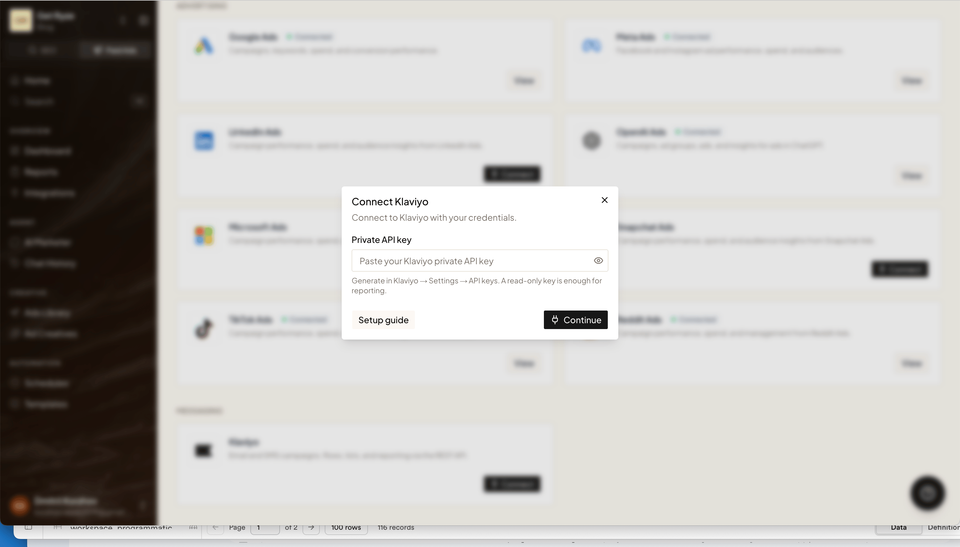 The Connect Klaviyo dialog in Ryze with the Private API key field