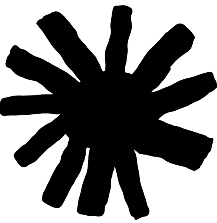 light logo