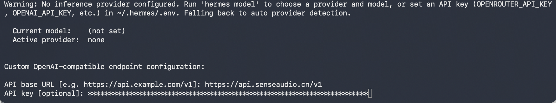 Hermes 填写 SenseAudio API 地址和已遮挡的 API Key