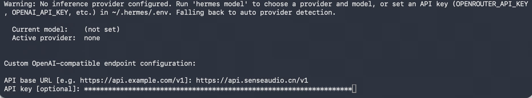 Hermes 填写 SenseAudio API 地址和已遮挡的 API Key