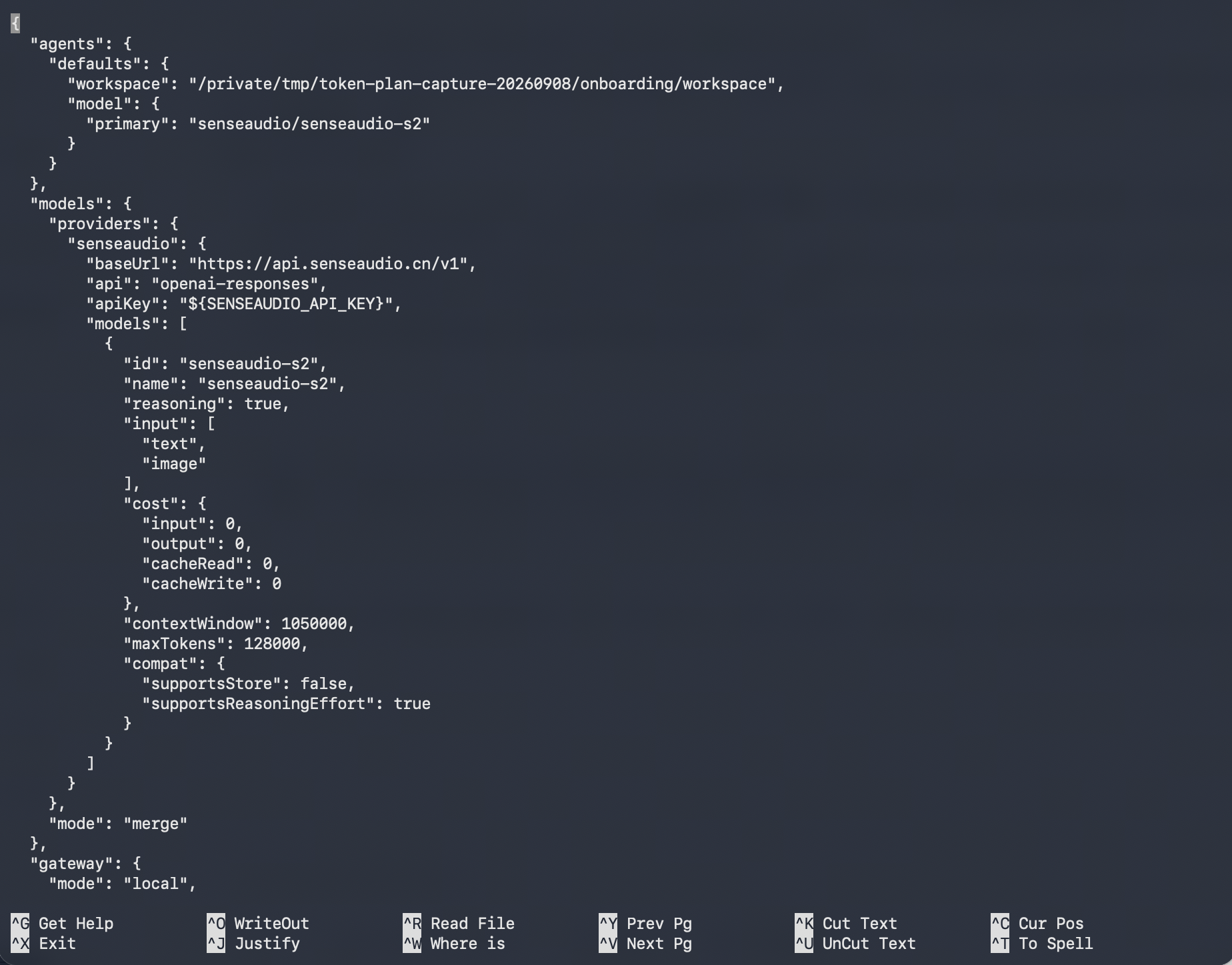 OpenClaw 默认模型设置为 senseaudio/senseaudio-s2，并配置 SenseAudio Provider