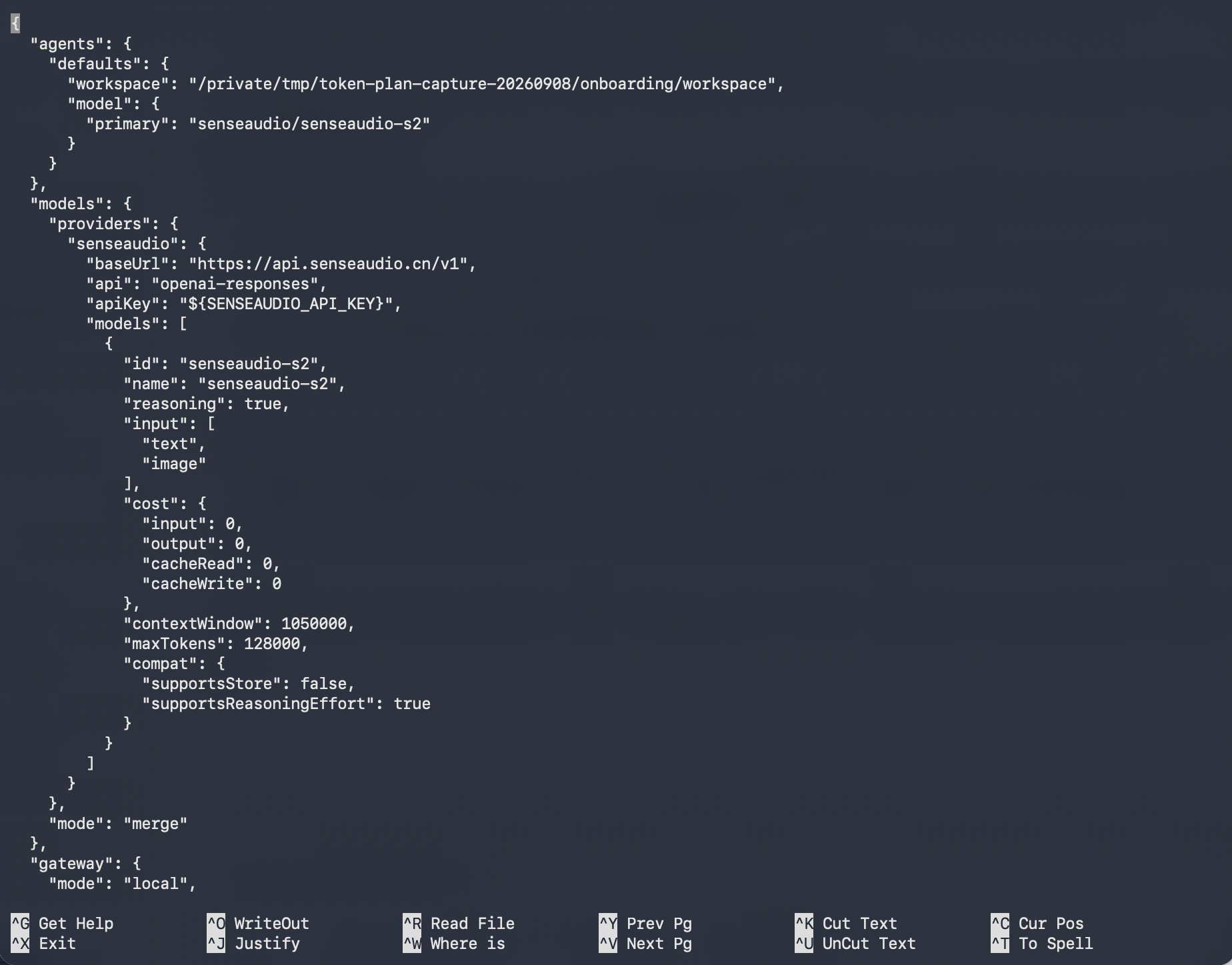 OpenClaw 默认模型设置为 senseaudio/senseaudio-s2,并配置 SenseAudio Provider