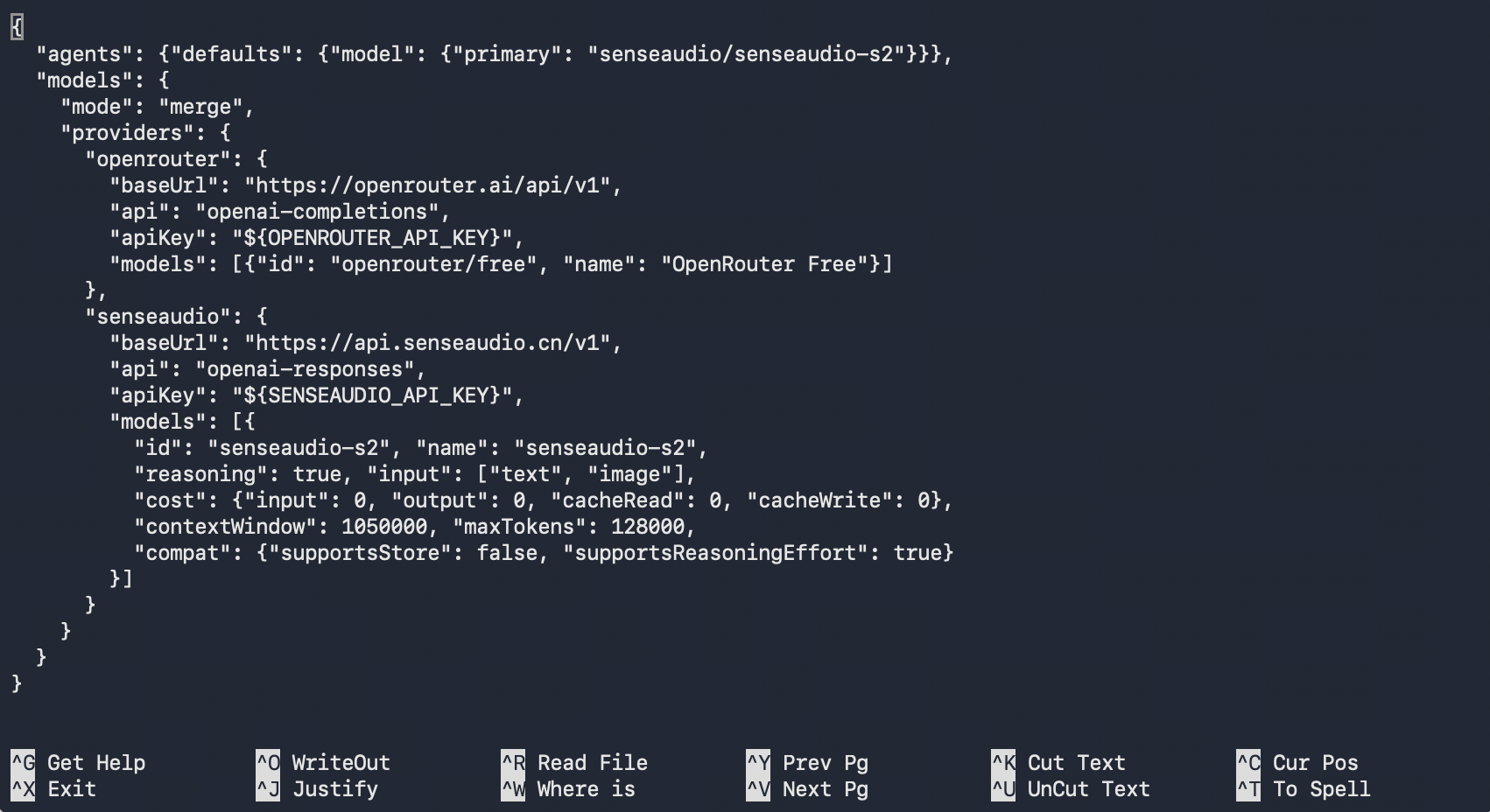 配置结构示例：保留 OpenRouter Provider，追加 SenseAudio 并设置 S2 默认模型