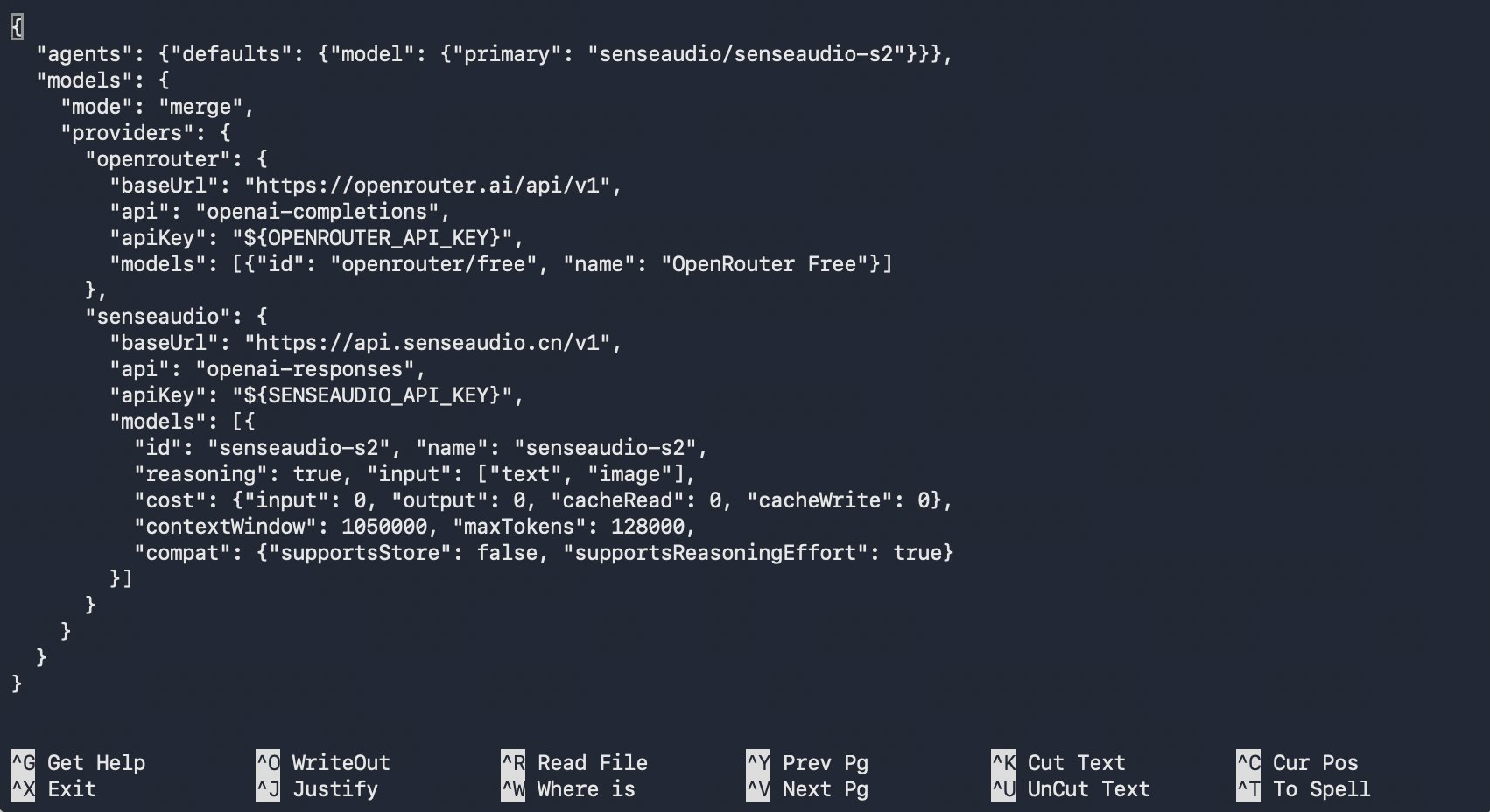 配置结构示例:保留 OpenRouter Provider,追加 SenseAudio 并设置 S2 默认模型