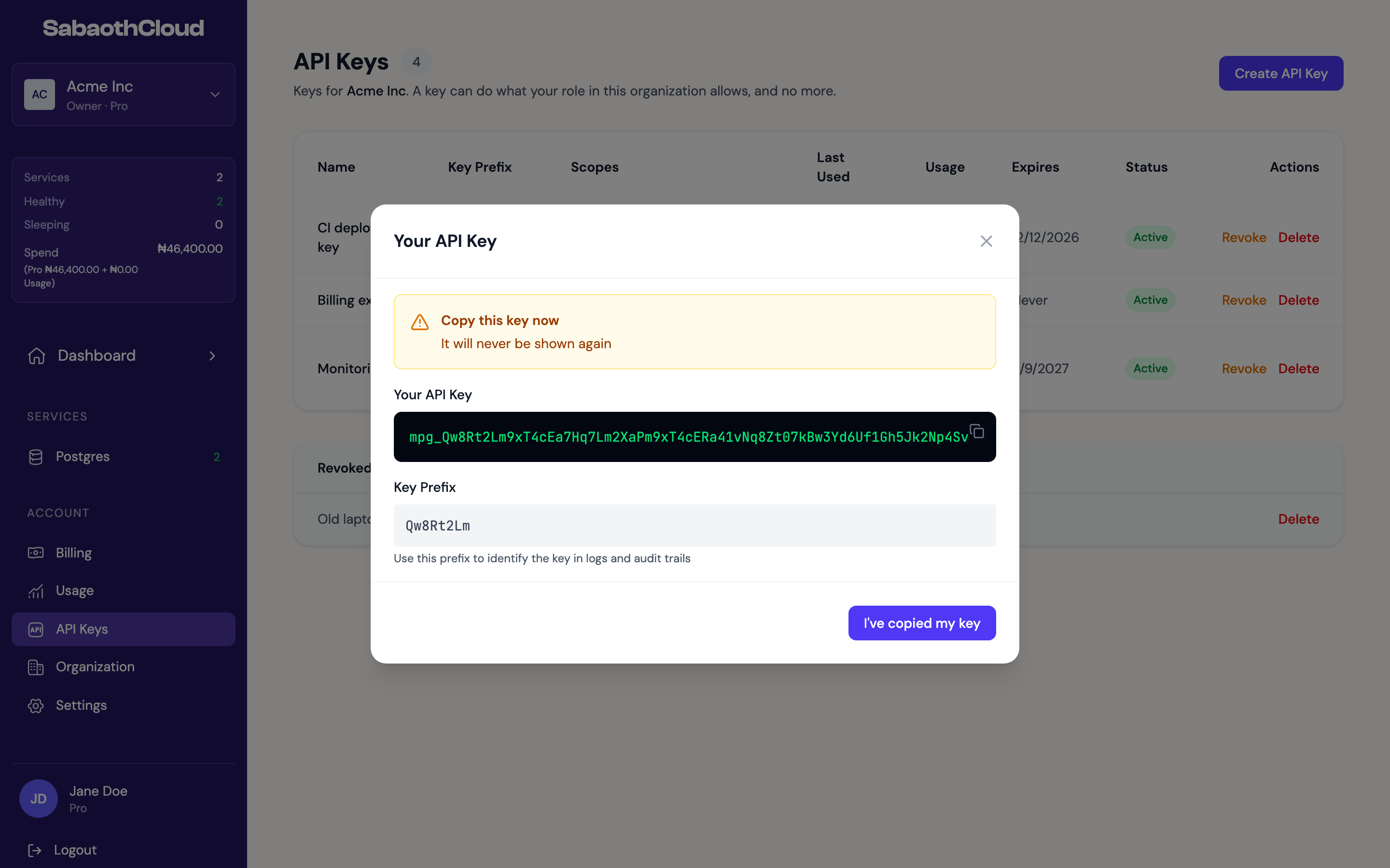 The Your API Key dialog showing a new key and its prefix