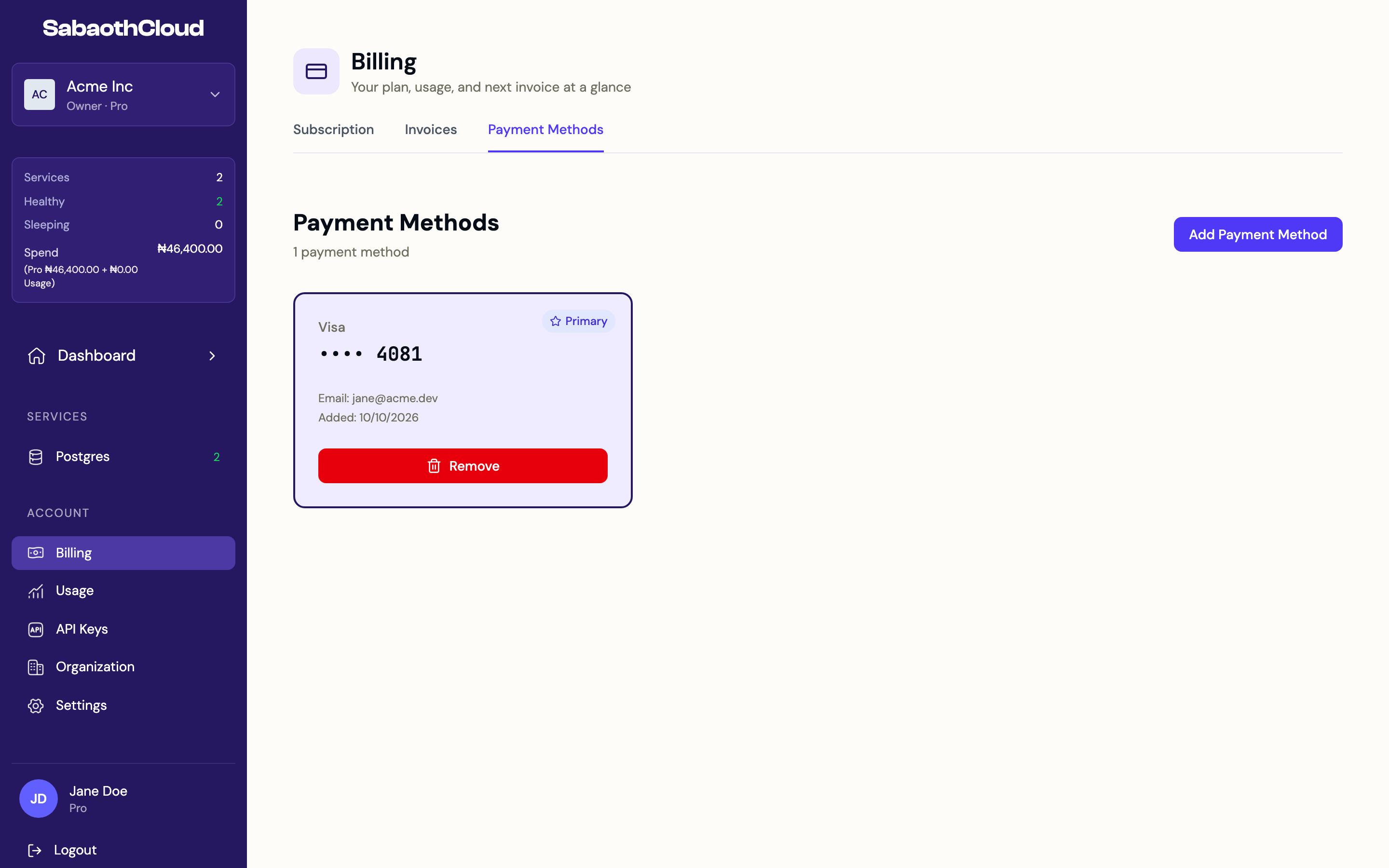 The Payment Methods tab showing a primary card