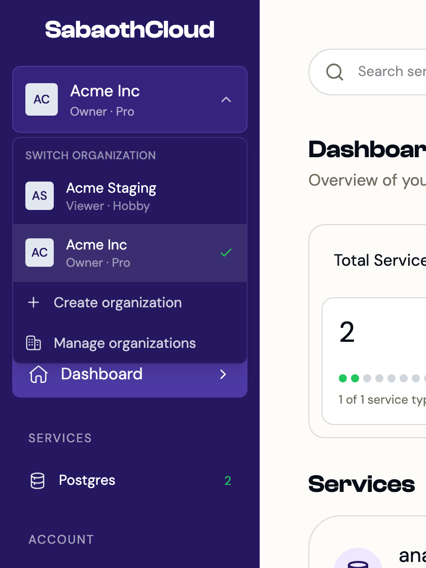 The organization selector open, listing two organizations