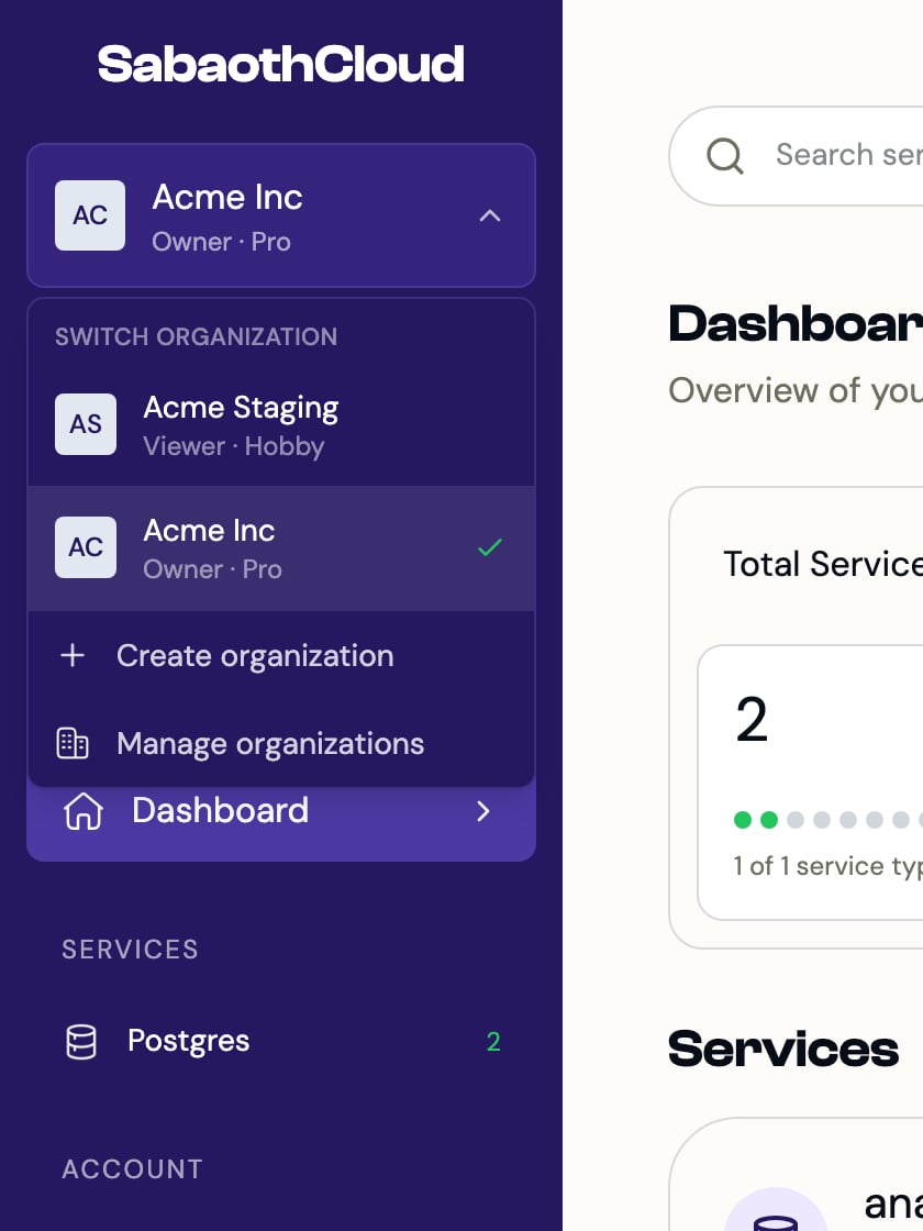 The organization selector open, listing two organizations