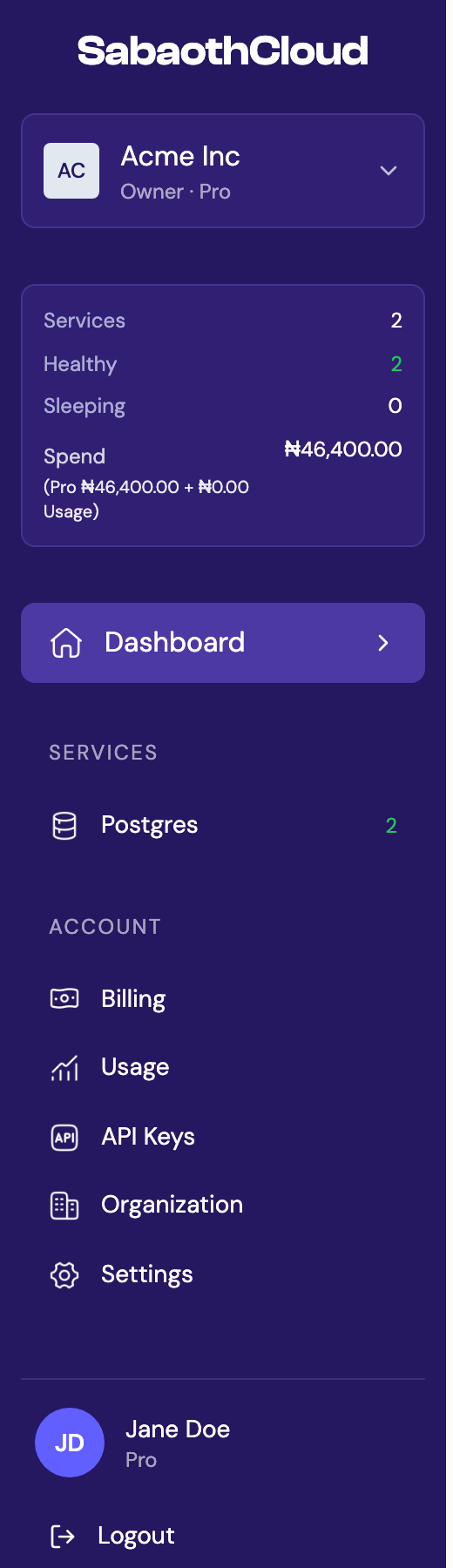 The sidebar showing the organization selector, stats panel and navigation