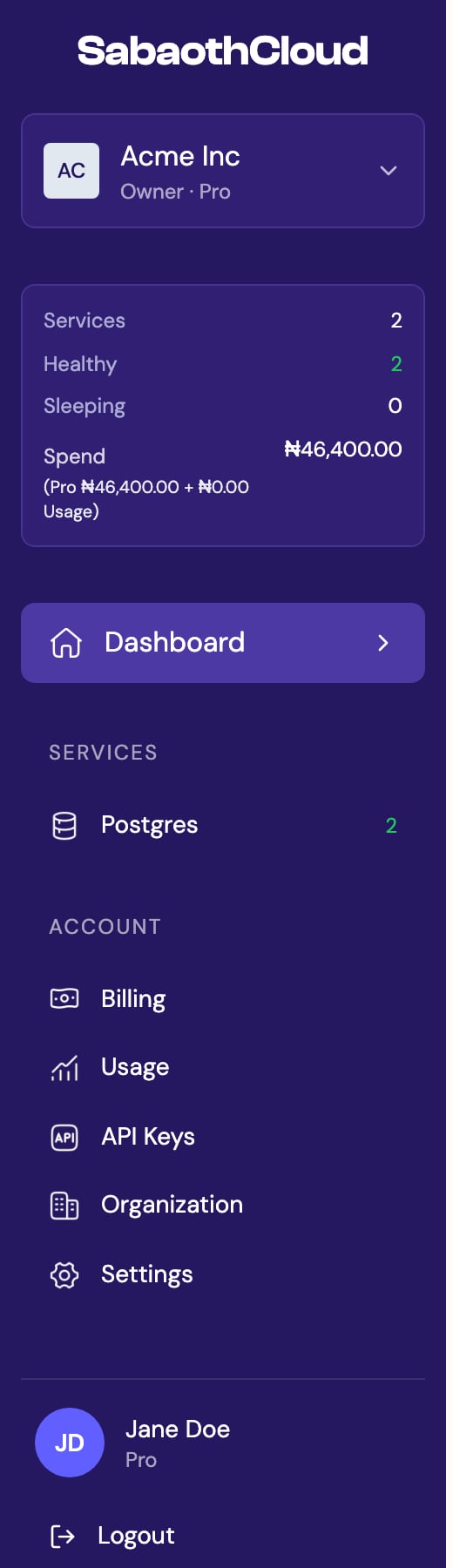 The sidebar showing the organization selector, stats panel and navigation