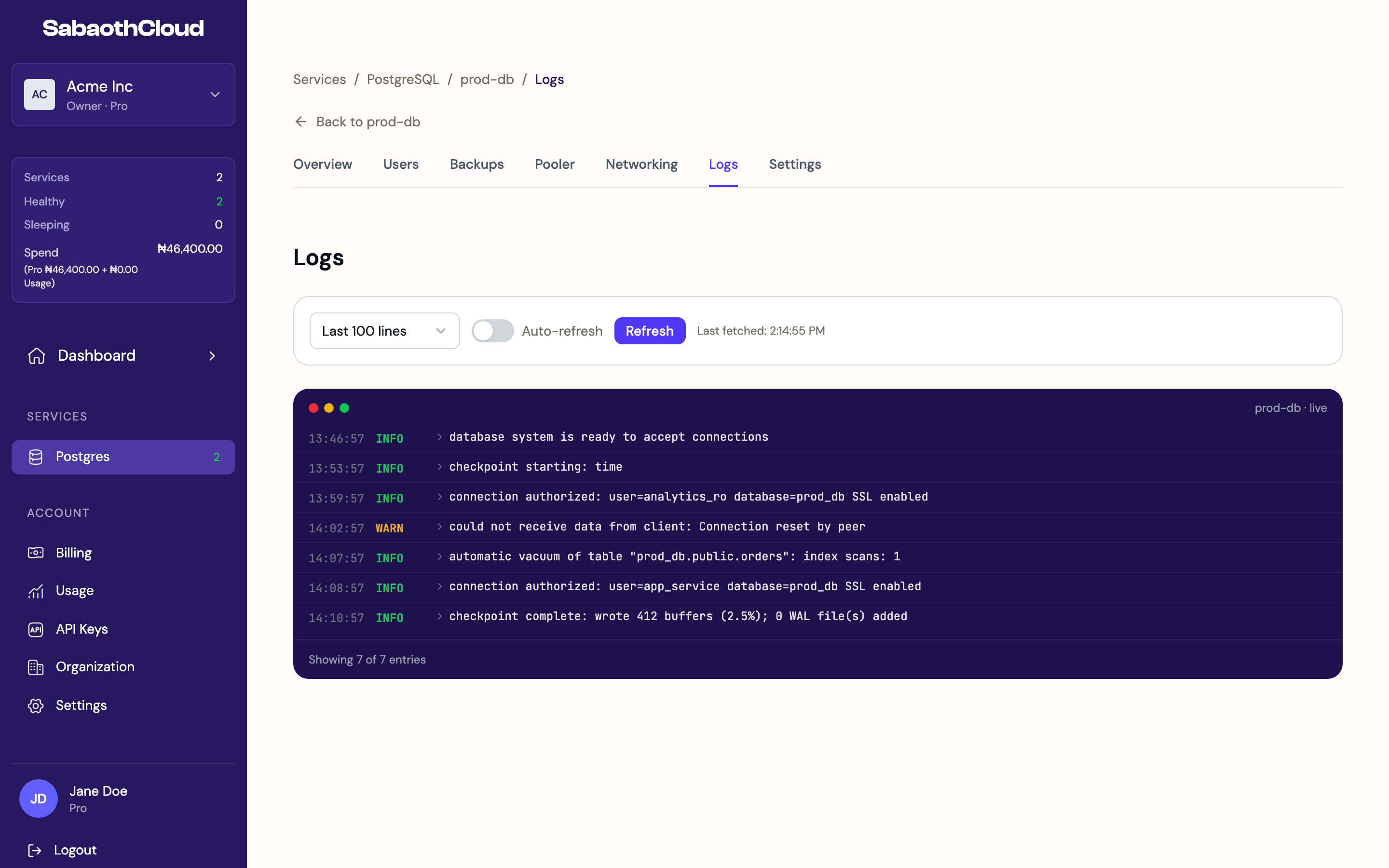 The Logs tab showing recent PostgreSQL log entries