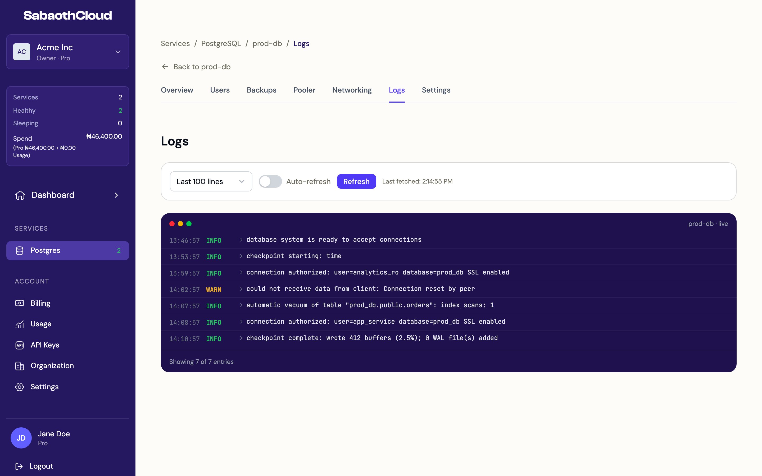 The Logs tab showing recent PostgreSQL log entries