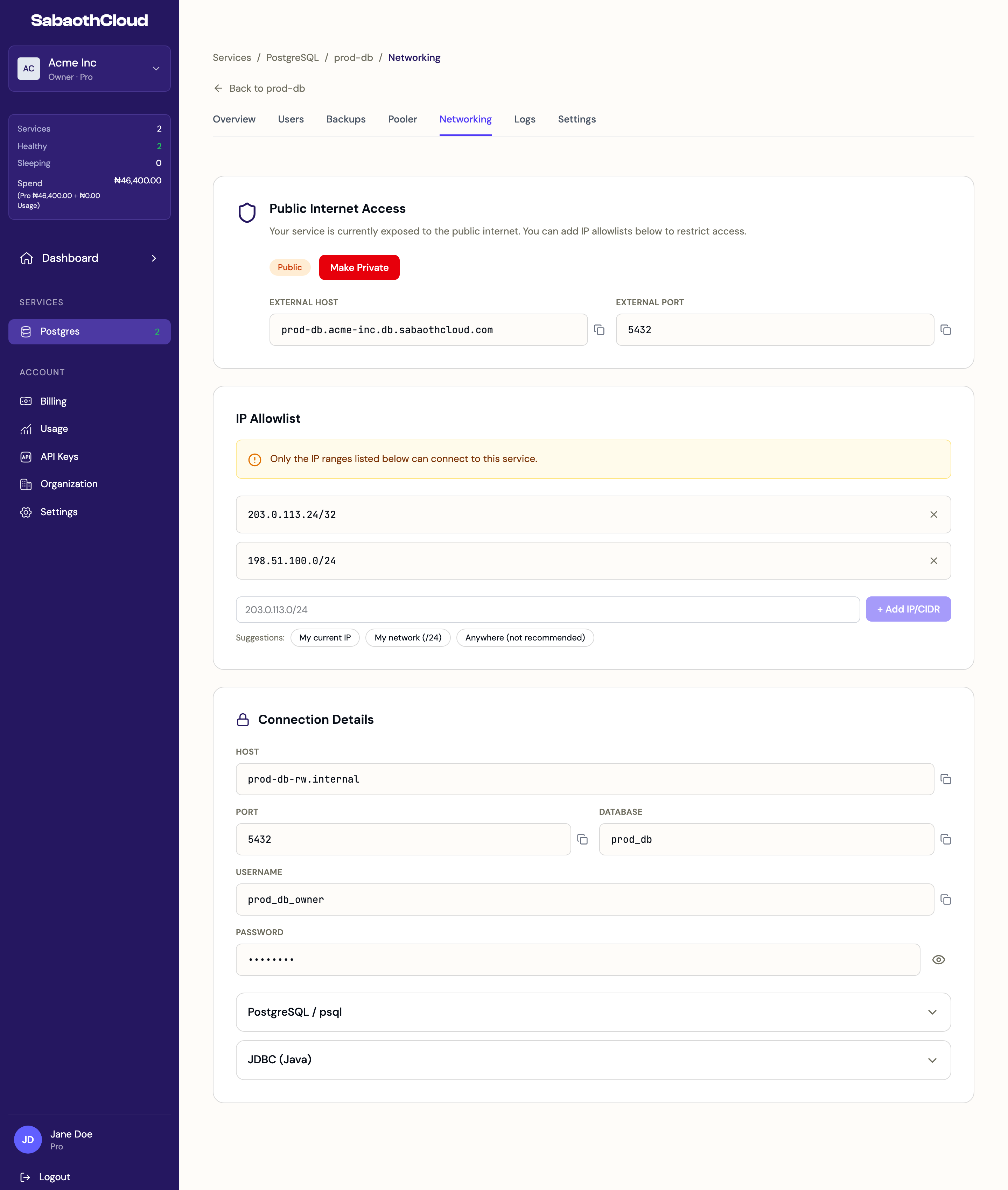 The Networking tab with public access, the IP allowlist and connection details