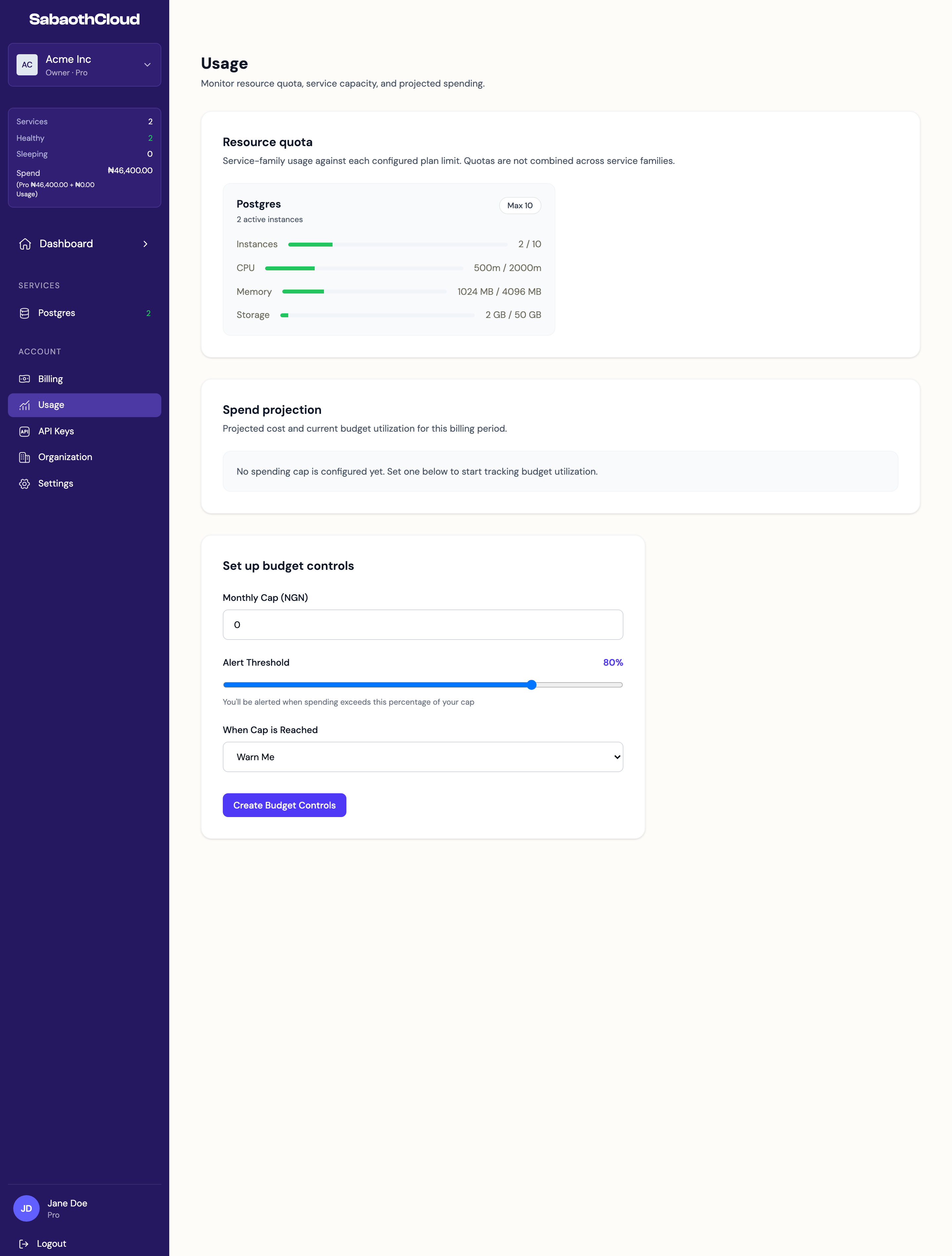 The Usage page with resource quota, spend projection and budget controls